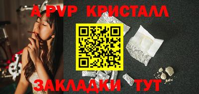 ГАЛЛЮЦИНОГЕННЫЕ ГРИБЫ Кингисепп