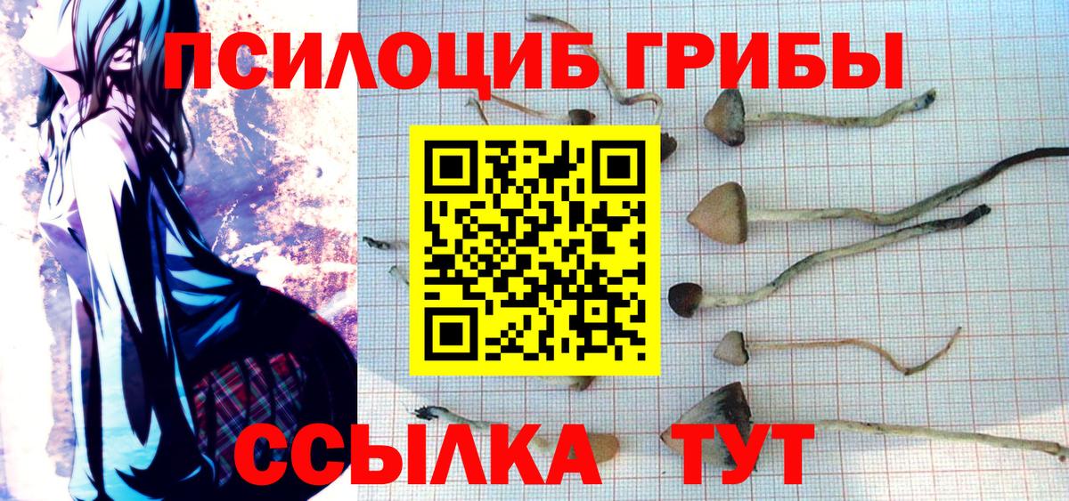 Галлюциногенные грибы мицелий  Вход с VPN  Галлюциногенные грибы Psilocybine cubensis  Ханты-Мансийск 
